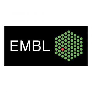 Mehr über den Artikel erfahren EMBL Heidelberg