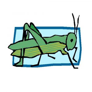 Mehr über den Artikel erfahren Kinderladen Heuhüpfer e.V.